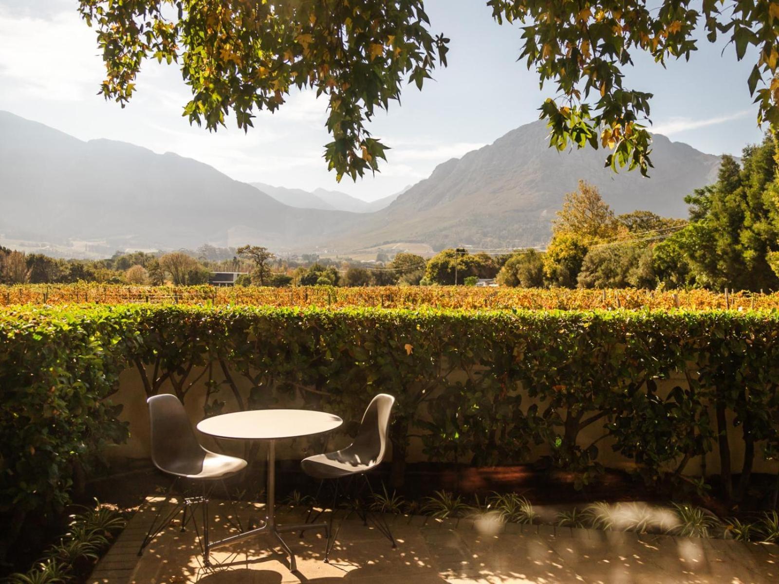 Klein Champagne Villa